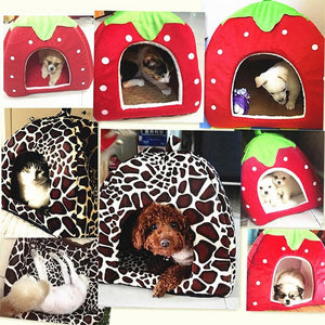 Strawberry Leopard Pet House Tent